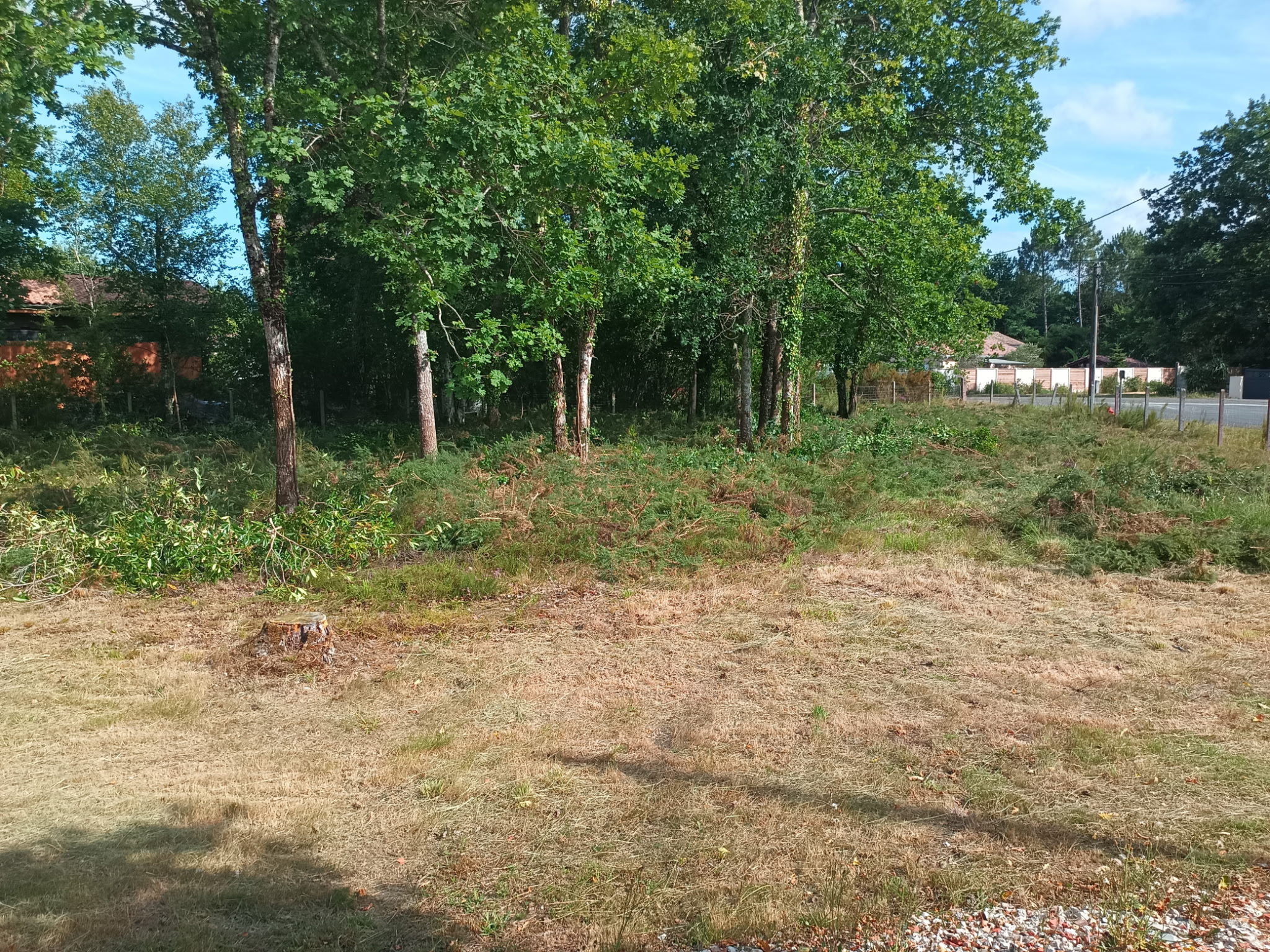 Terrain à dégagé pour mise en vente sans évacuation.