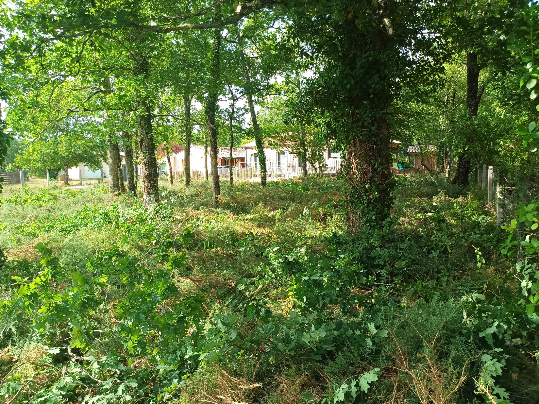 Terrain à dégagé pour mise en vente sans évacuation.
