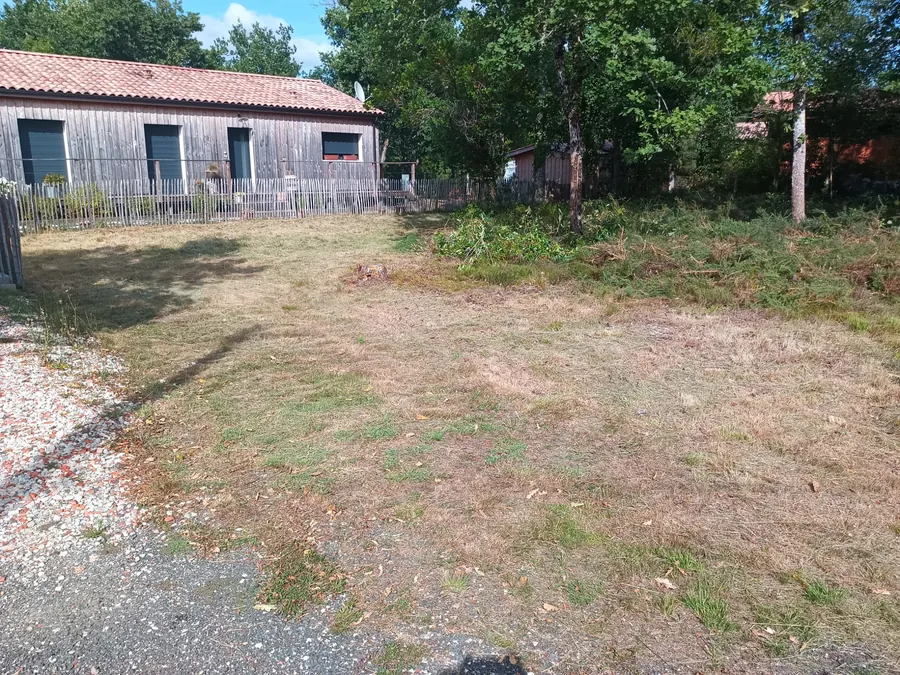 Terrain tondu et débroussaillé, prêt pour la mise en vente, Médoc