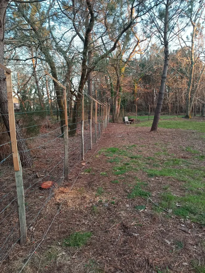 Pose d'une clôture de jardin avec protection anti-gibier, Médoc